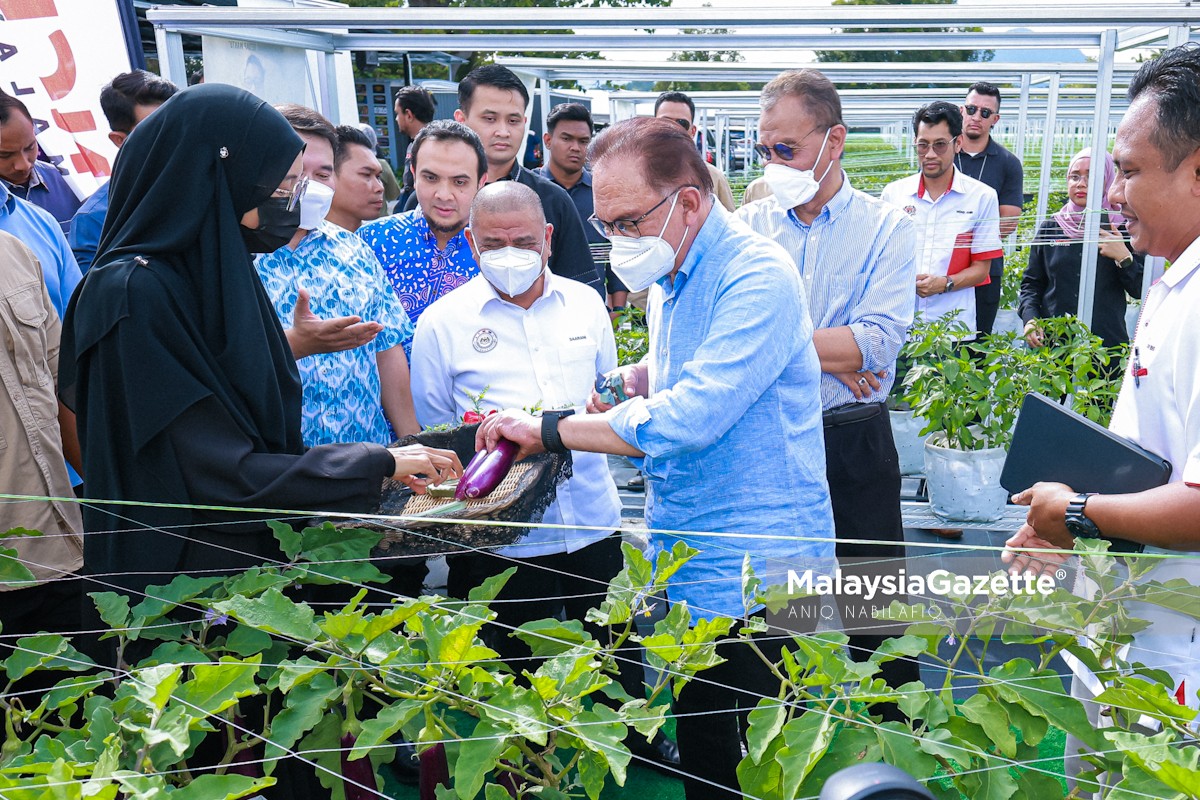 Bawa Isu Tanah Terbiar Diuruskan Ipr Intan Pada Naccol Mg Perak