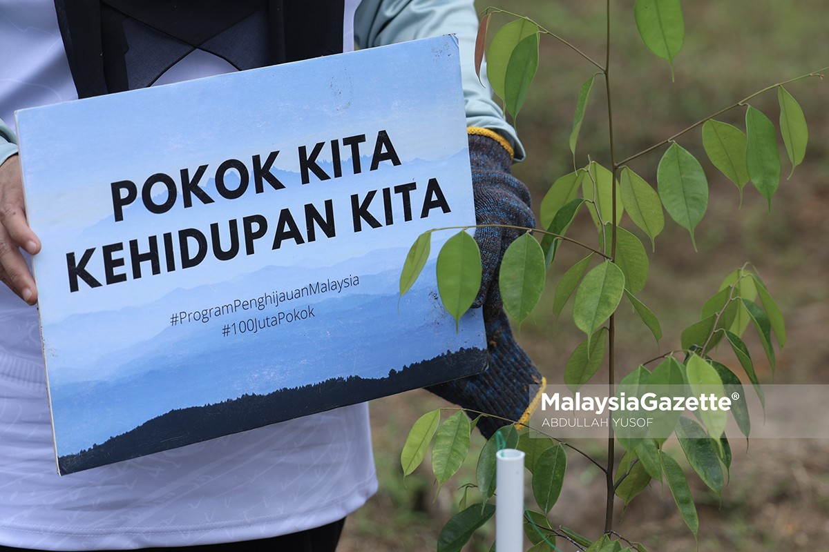 Pokok Kita Kehidupan Kita - Banci Pertanian 2024 - MG Perak