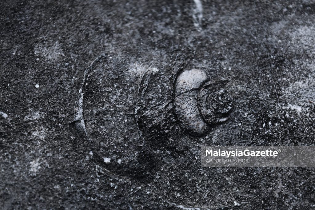 Penemuan fosil: Mampu jadi lokasi pelancongan baharu di Perak