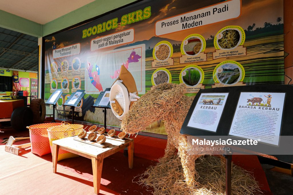 ECORICE SKSR: Sekolah bandar pertama di Malaysia laksana projek penanaman padi