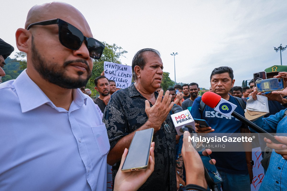 Penternak lembu kerbau kampar tapah haiwan ternakan pihak berkuasa tempatan PBT sita kandang haiwan 