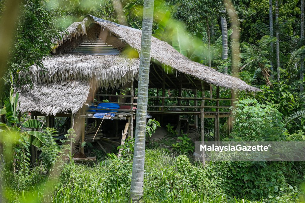 Dangau Mak Ani saji makanan kampung dalam suasana hijau