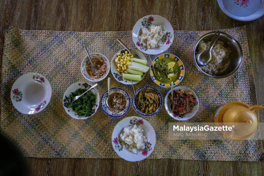 Dangau Mak Ani saji makanan kampung dalam suasana hijau