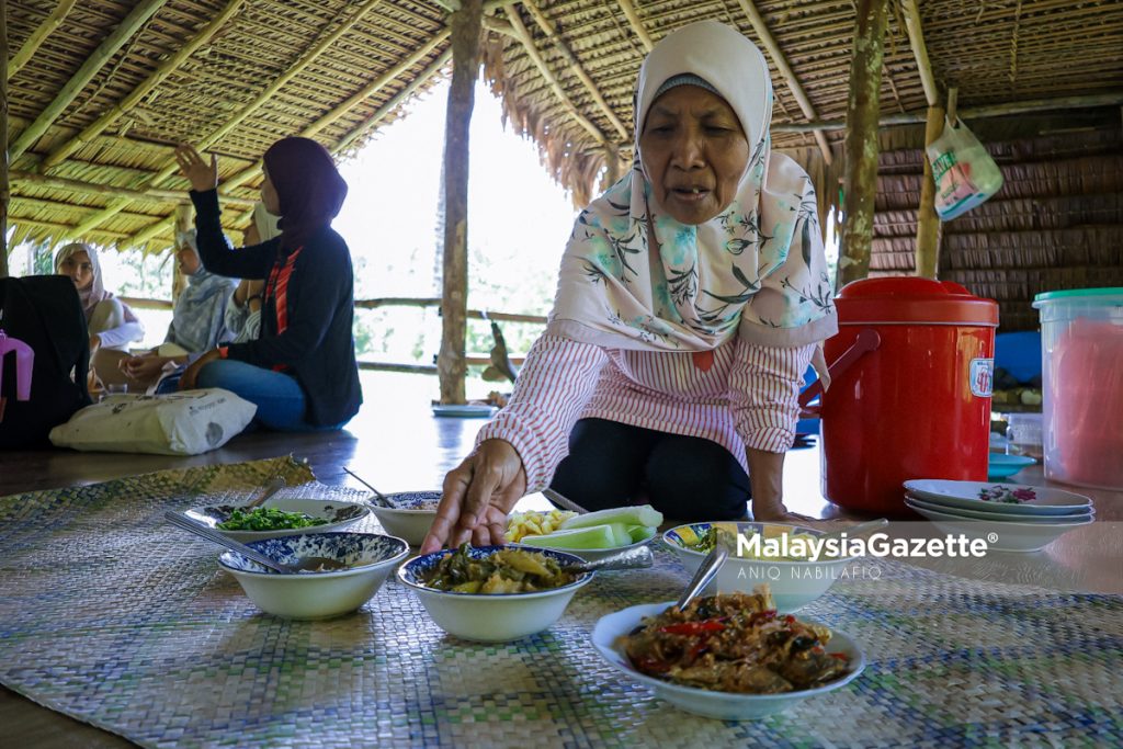 Dangau Mak Ani saji makanan kampung dalam suasana hijau