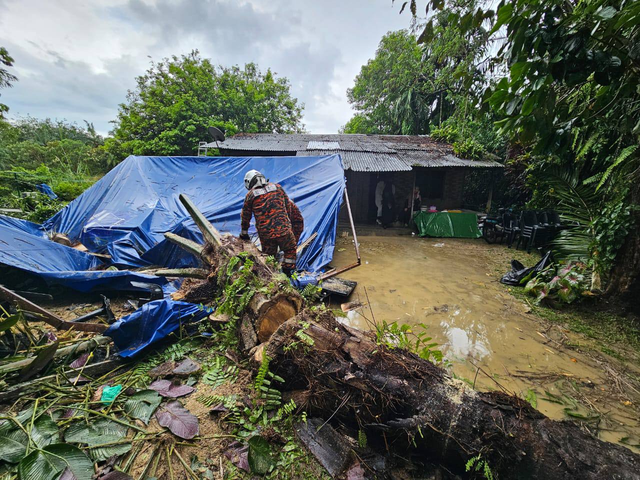 Lelaki patah kaki dihempap pokok sawit ketika kenduri kahwin cedera bomba Sabarodzi mangsa