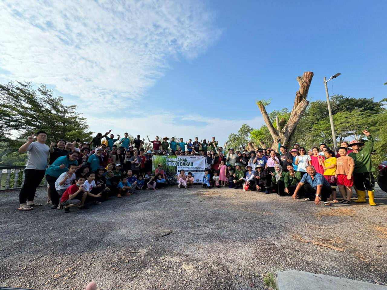 Pokok bakau Penanaman Pokok Bakau tsunami peserta KUASA komuniti hutan