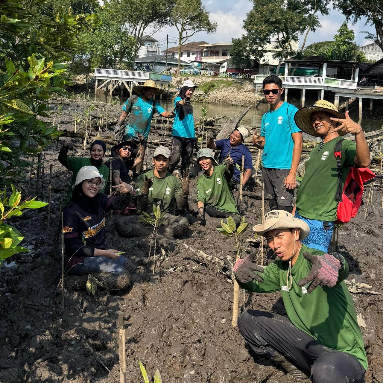 Pokok bakau Penanaman Pokok Bakau tsunami peserta KUASA komuniti hutan