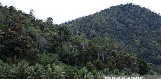 Homestay Labu Kubong Kuala Kangsar pelancong pengunjung Meor Samsudin koperasi inap desa