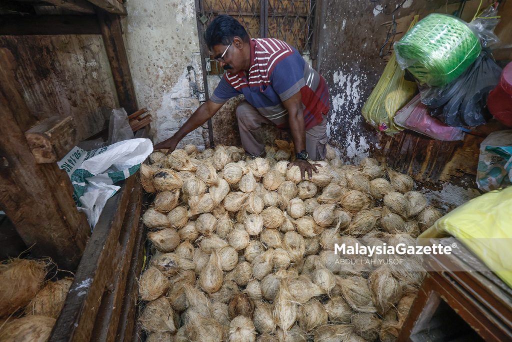 Menjelang Thaipusam: Bekalan kelapa kurang, harga meningkat