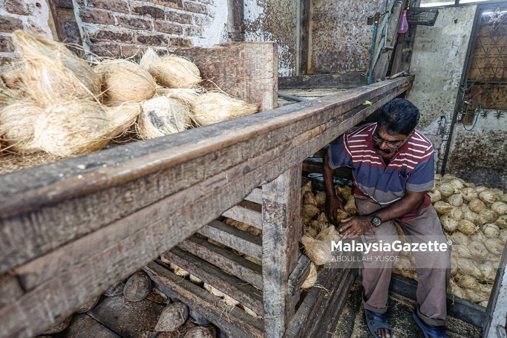 Menjelang Thaipusam: Bekalan kelapa kurang, harga meningkat