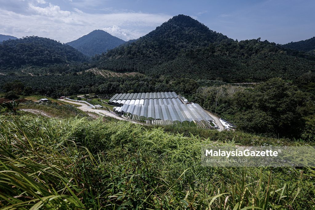 Rasai suasana santai dalam ladang di Agrotech Profarm