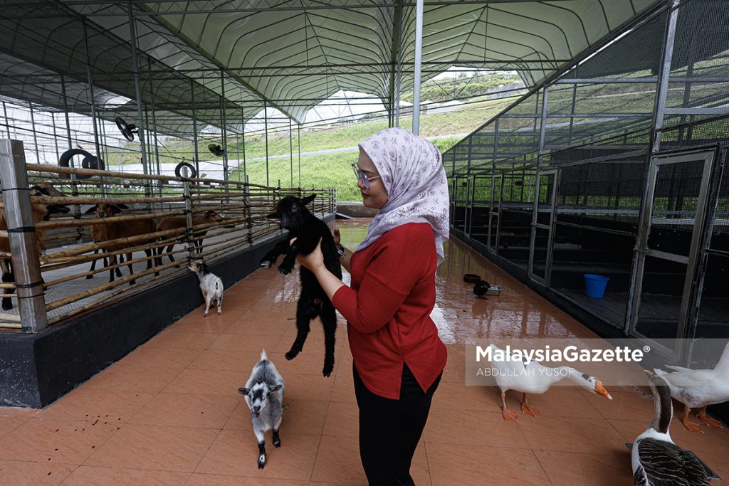 Rasai suasana santai dalam ladang di Agrotech Profarm