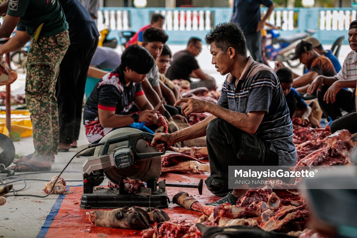 Petugas media Perak korban Aidiladha korban Aidiladha Perak, sumbangan lembu Perdana Menteri, Anwar Ibrahim korban, media Perak sambut Aidiladha, program korban Tambun, Masjid As-Syakirin Chemor