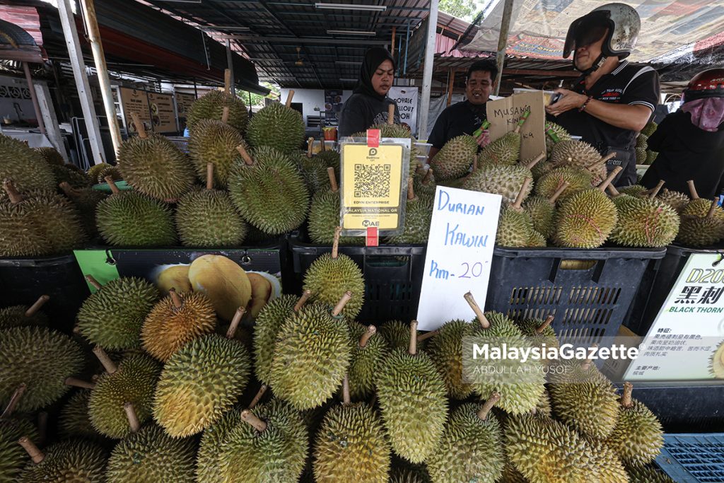 Durian Petron Ipoh tawar 'waranti', jadi tumpuan peminat 'raja buah'
