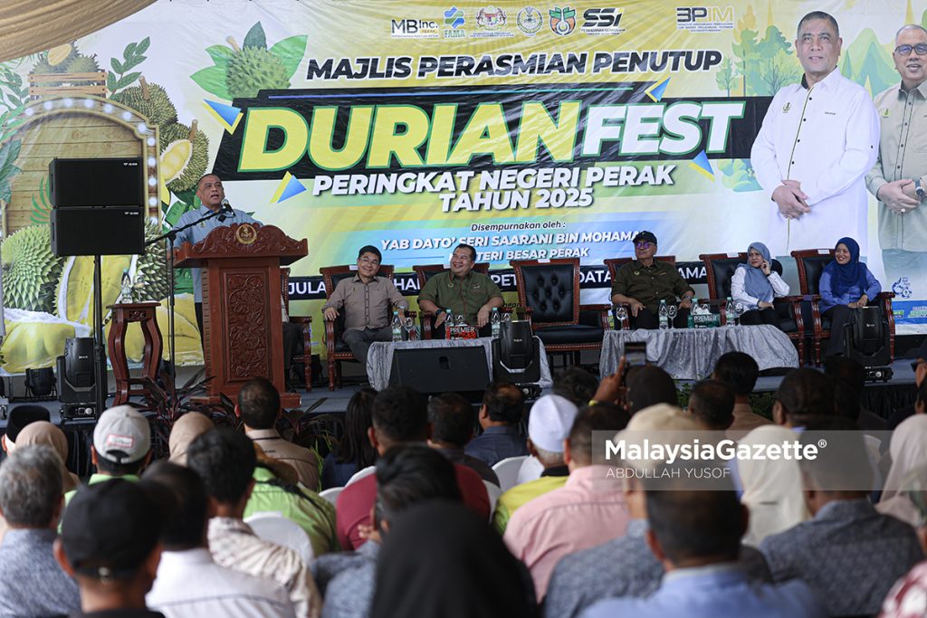 Perak pengeluar durian utama, durian kampung jadi tarikan eksport
