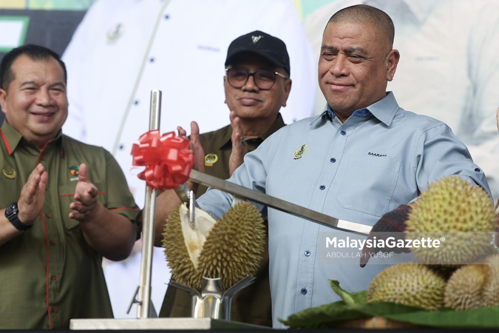 Perak pengeluar durian utama, durian kampung jadi tarikan eksport