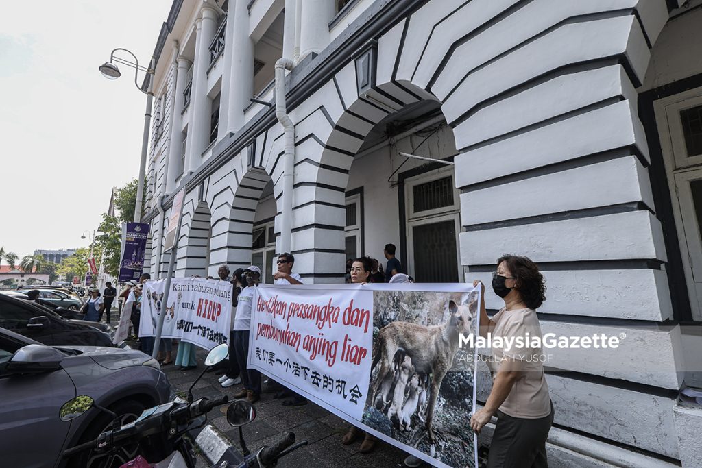 NGO tuntut prosedur telus pelupusan anjing terbiar oleh MBI