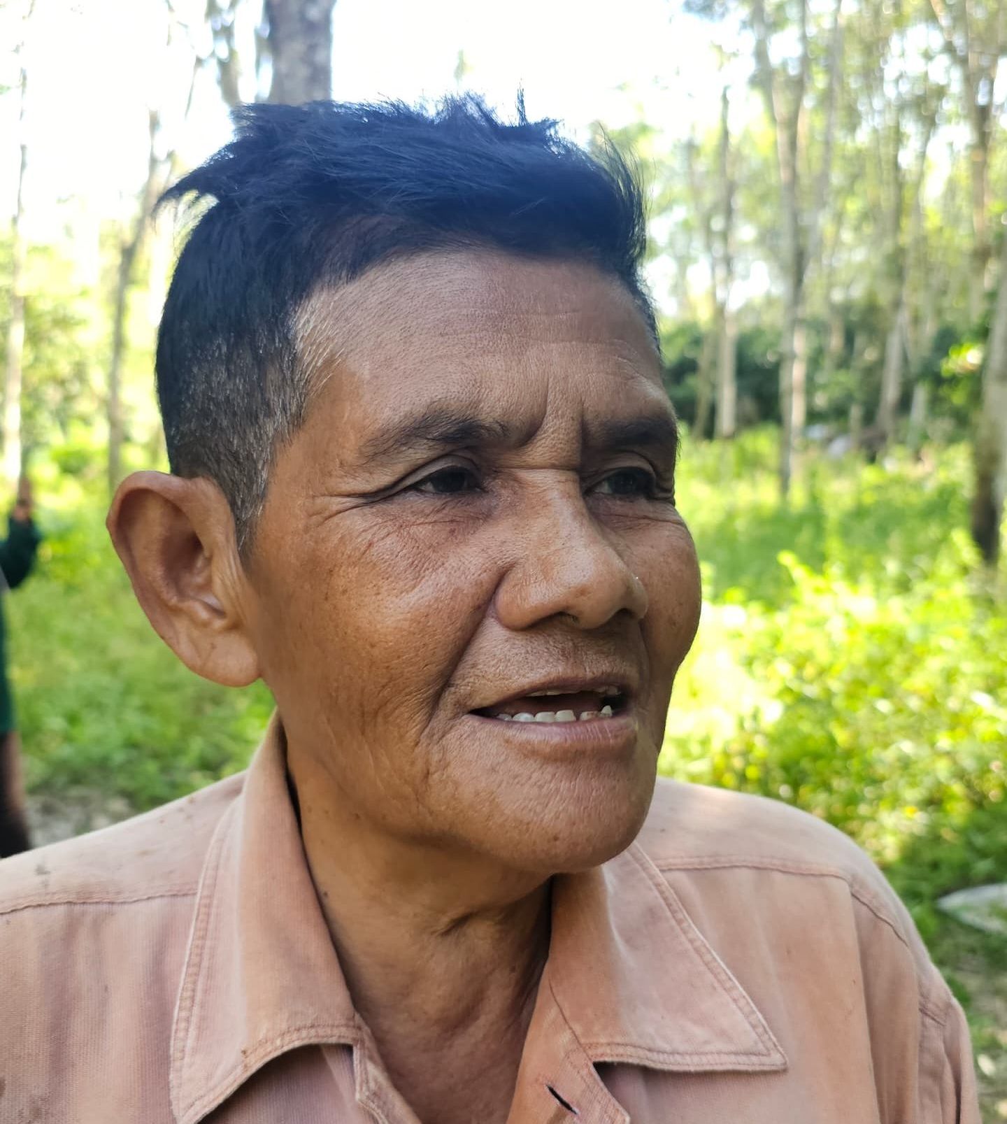 Gajah liar Sungai Siput serangan gajah liar Perak, penduduk kampung terkejut gajah, Perhilitan Perak, gajah masuk kebun durian, Kampung Lasah gajah