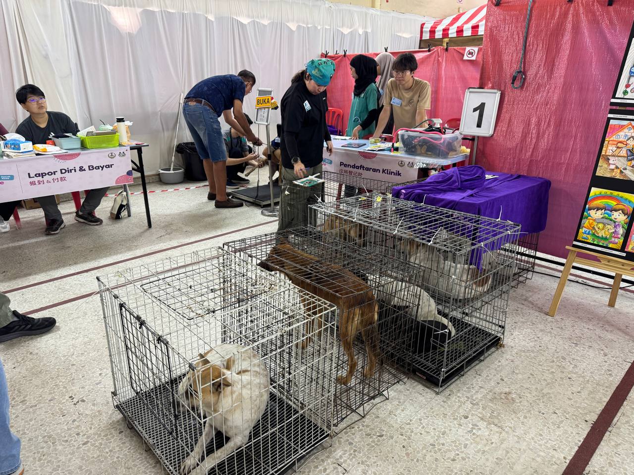 Perak Pawsitive Initiative 2025 haiwan jalanan Perak, pemandulan kucing dan anjing, NGO haiwan Perak, feeders mapping, Sandrea Ng Shy Ching