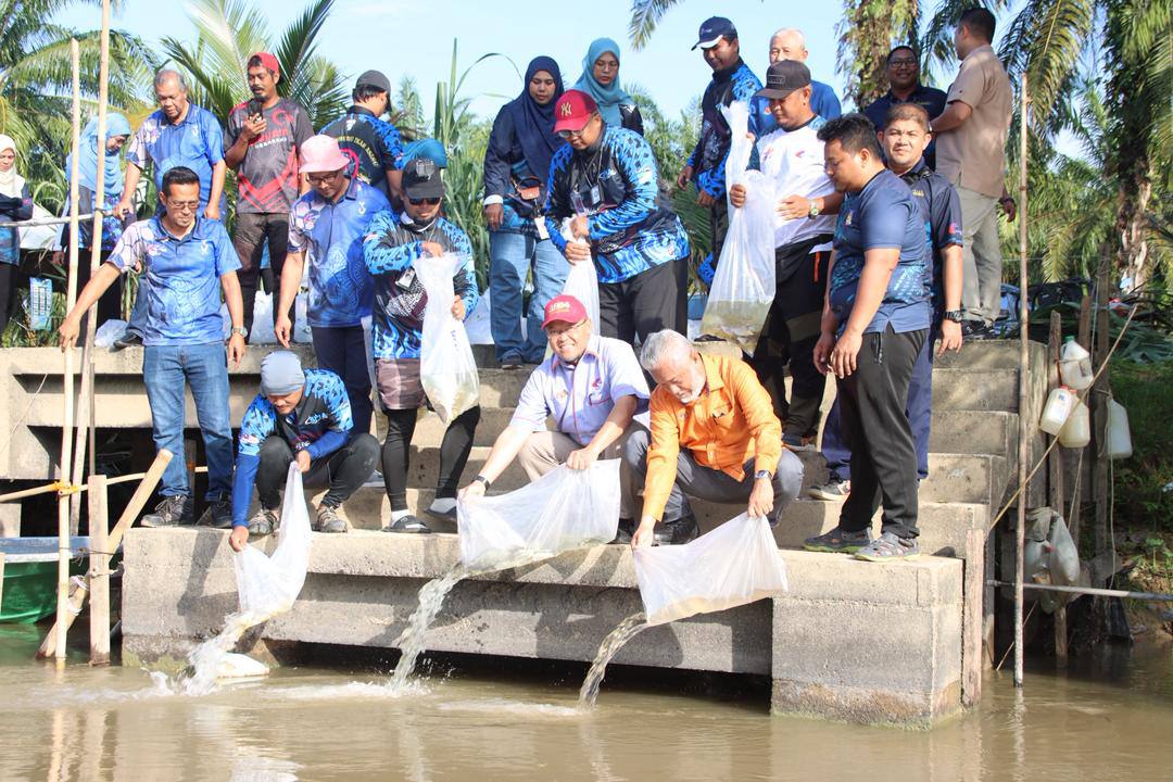 ikan asing Sungai Galah ikan invasif Perak, ikan asing ancam sungai, Grand Prix Memburu Ikan Asing, pemburuan ikan asing Pasir Salak, Jabatan Perikanan kawal ikan asing
