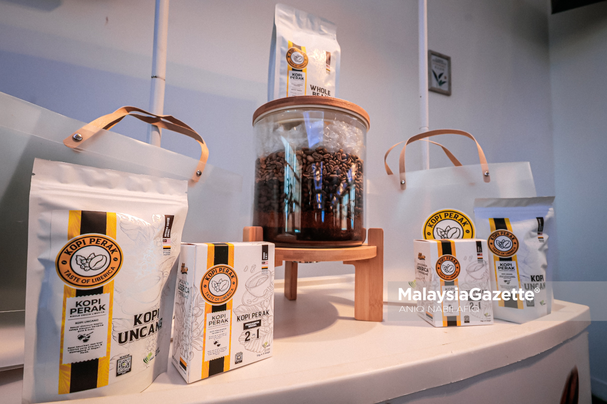 kopi Perak industri kopi Perak, tanaman kopi Liberica, pengeluaran kopi Malaysia, Norsiyenti Othman, Jabatan Pertanian Negeri Perak, Program Pembangunan Tanaman Kopi, biji kopi hijau, usahawan kopi tempatan