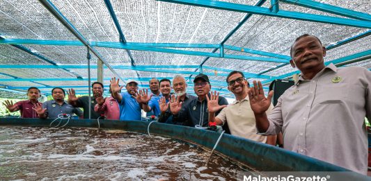 ternakan ikan tilapia merah bioflok Perak ikan air tawar Kampung Pantai Remis, projek SejaTi MADANI, sistem bioflok, JPKK Kampung Pantai Remis, Datuk Mohd Zolkafly Harun, industri akuakultur Perak, ikan air tawar, projek komuniti luar bandar, pertanian moden Perak
