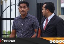 MGPerak: Pemandu Lori Didenda RM8,000 Pindah 18 Lembu Tanpa Kebenaran