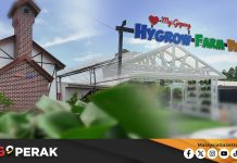 MGPerak: Hygrow Farm Ville Lokasi ‘Instaworthy’  Di Gopeng
