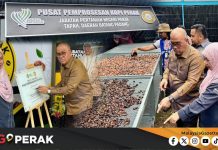 MGPerak: Pusat Pemprosesan Kopi Perak Perkasa Industri Liberica