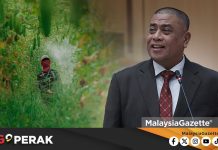 MGPerak: Perak Umum RM73.06 Juta, Perkukuh Keterjaminan Makanan