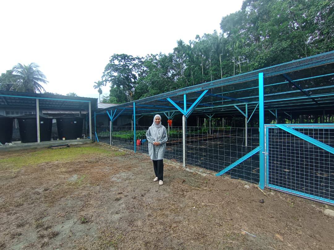 Perusahaan nurseri kopi Kuala Kangsar Raihan Shafiqah Ismail Nine Nursery Kuala Kangsar pokok kopi Liberica industri kopi Perak Jabatan Pertanian Negeri Perak bantuan geran pertanian usahawan muda Perak permintaan anak pokok kopi