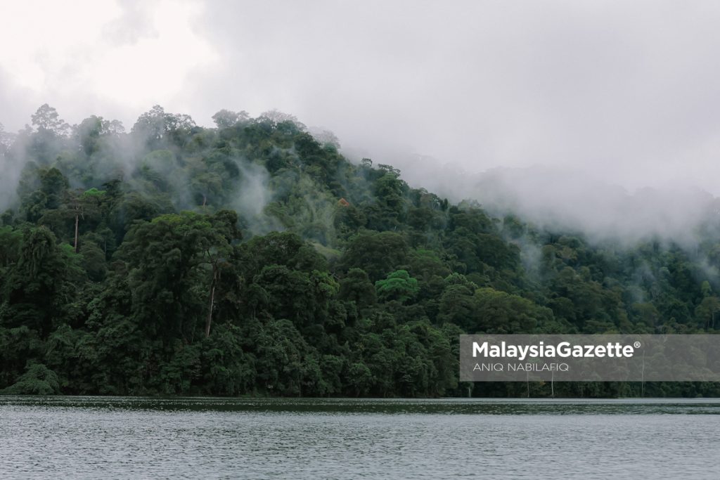 Perak aktif tingkatkan pemuliharaan alam, hidupan liar menerusi Perhilitan