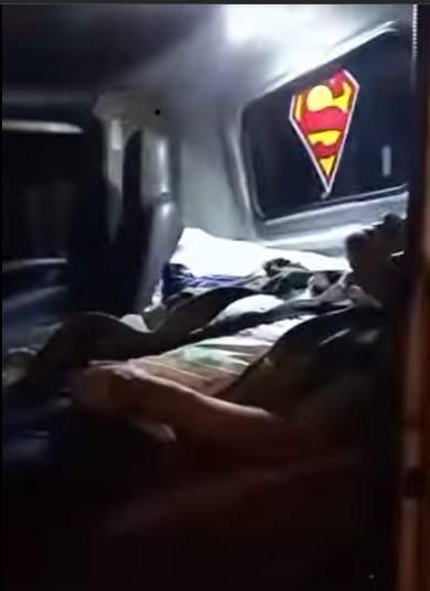 Lelaki cedera, motosikal langgar gajah di JRTB