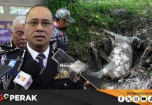 MGPerak: Polis Perketat Kawalan Bukit Bangkong Susulan Harimau Belum Ditemui