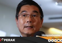 MGPerak: Pembangunan Bukan Punca Kemunculan Harimau Di Chemor – Exco