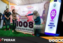 MGPerak: 1,008 Haiwan Dimandulkan, Kerajaan Negeri Tingkat Peruntukan Perak Pawsitive Initiative