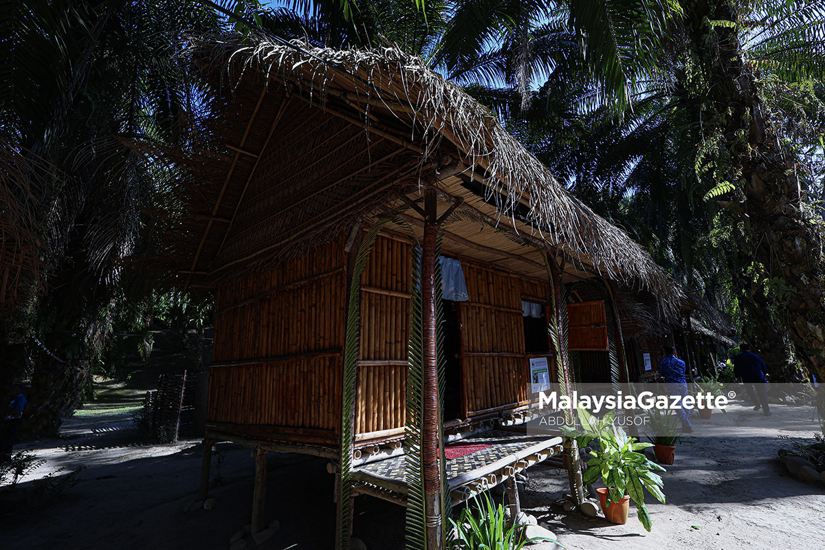 Jok Maduh D Kenang jana pendapatan Orang Asli Jok Maduh D Kenang Sungai Siput, ekopelancongan Orang Asli Perak, pelancongan komuniti Orang Asli, Kampung Kenang Jalong Tinggi, koperasi Orang Asli Perak, ekopelancongan Sungai Siput, chalet Orang Asli Perak