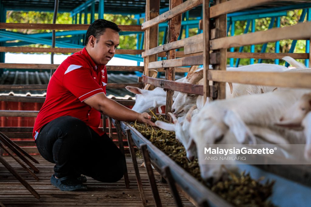 Gagal, belajar, bangkit: Perjalanan Madzarul Yusuf bina empayar U Kambing