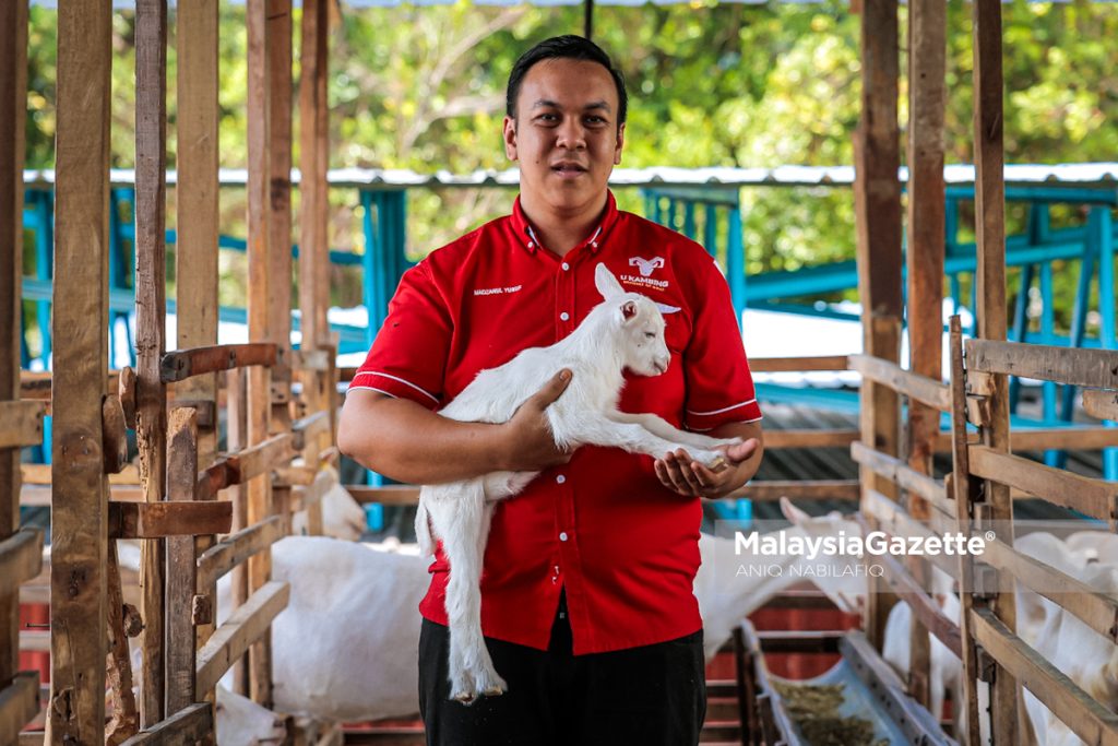 Gagal, belajar, bangkit: Perjalanan Madzarul Yusuf bina empayar U Kambing