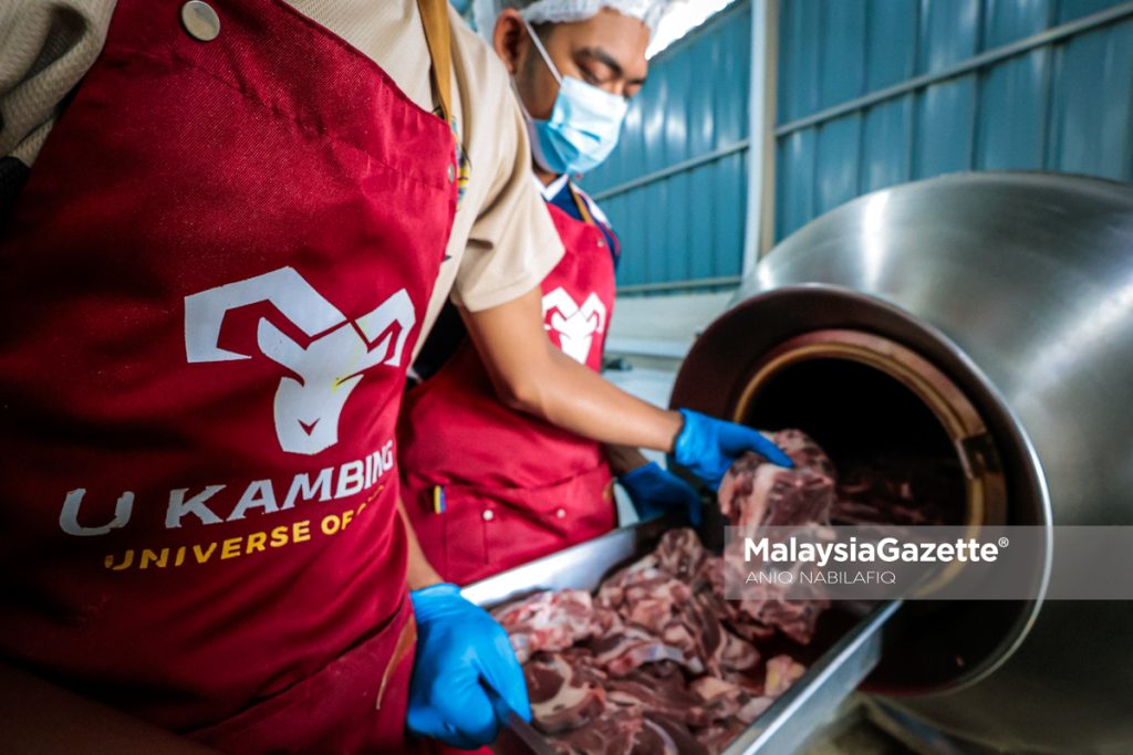 Gagal, belajar, bangkit: Perjalanan Madzarul Yusuf bina empayar U Kambing