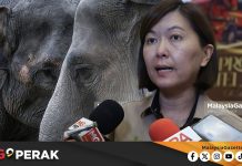 MGPerak: ZTNS Akan Lawat Dara, Amoi, Kelat Di Jepun Bulan Depan