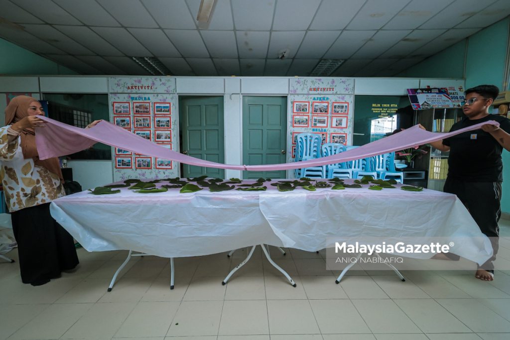 Usahawan Felcra Seberang Perak olah ‘daun‘ jadi produk kraf eksklusif