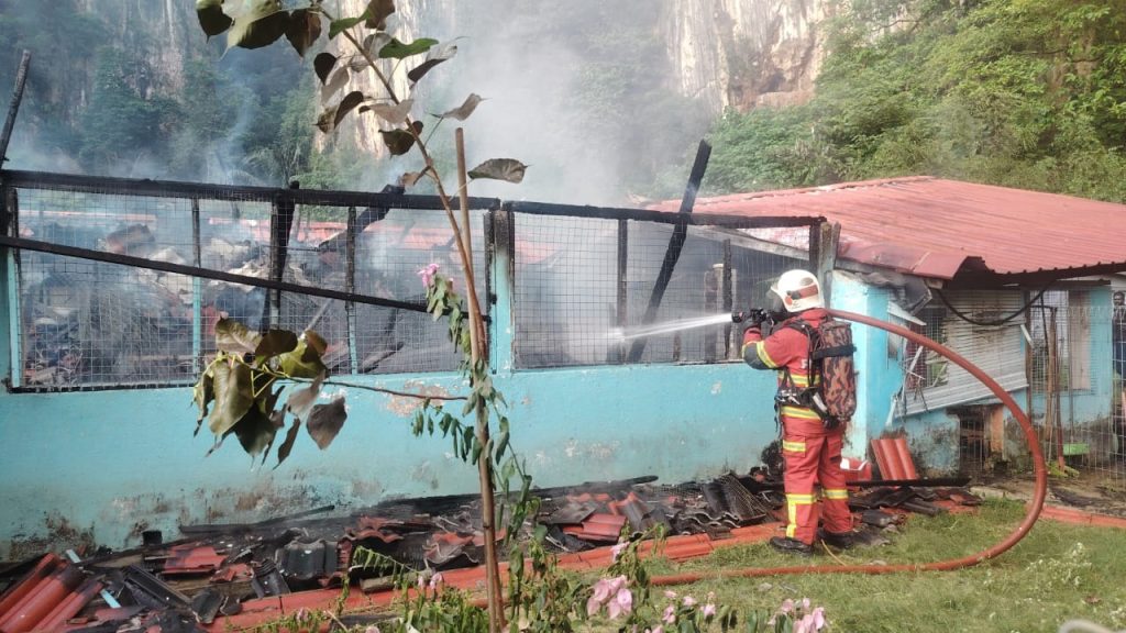 10 kucing mati, pusat perlindungan haiwan terbakar