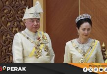 MGPerak: Sultan Nazrin Sambut Baik Pelan Pemuliharaan Harimau Malaya, Santuari Gajah Gerik