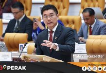 MGPerak: Perak Ambil Langkah Tangani Ancaman Kacau Ganggu Monyet