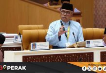MGPerak: Lebih 2 Juta Benih Ikan Dilepaskan Ke Perairan Perak