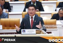MGPerak: Fasa Pertama Projek Pusat Santuari Gajah Perak Nilai RM52 Juta