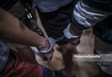 Polis tahan lelaki disyaki terlibat kejadian samun di Batu Gajah Rakyat Malaysia ditahan di Thailand cuba seludup 250 haiwan liar ke India