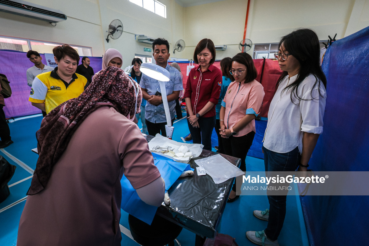 Perak Pawsitive Initiative diperluas Related Keyphrase: pemandulan haiwan Perak, Sandrea Ng Shy Ching, haiwan terbiar Perak, program veterinar Perak, lesen anjing PBT Perak
