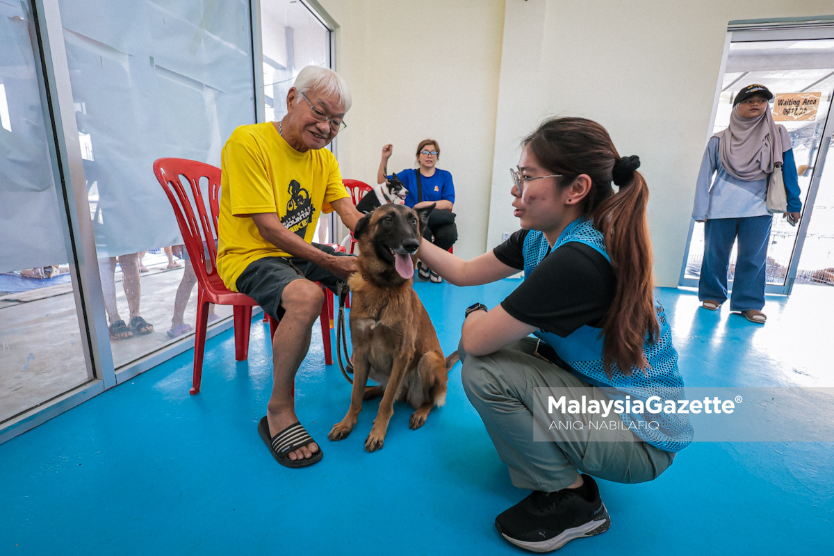 Perak Pawsitive Initiative diperluas Related Keyphrase: pemandulan haiwan Perak, Sandrea Ng Shy Ching, haiwan terbiar Perak, program veterinar Perak, lesen anjing PBT Perak